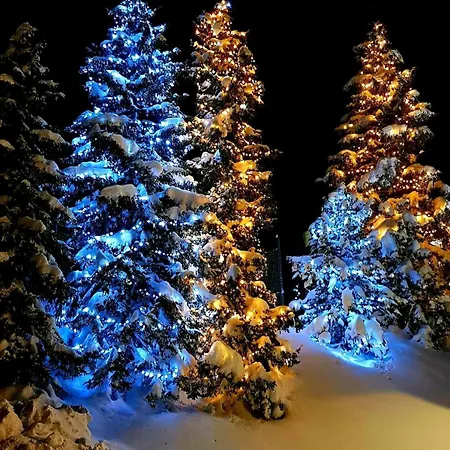 - Snow 917 - 2 Adults 2 Children * Morzine
